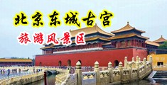 操骚女人骚逼视频网站中国北京-东城古宫旅游风景区